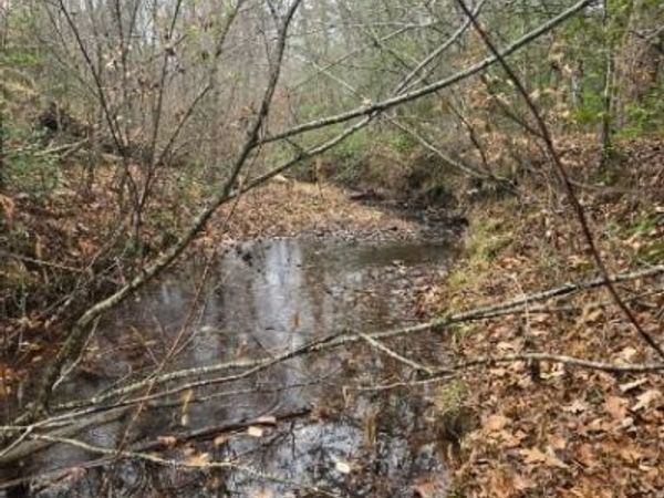 0 Tabscott Road , Kents Store, VA 23084