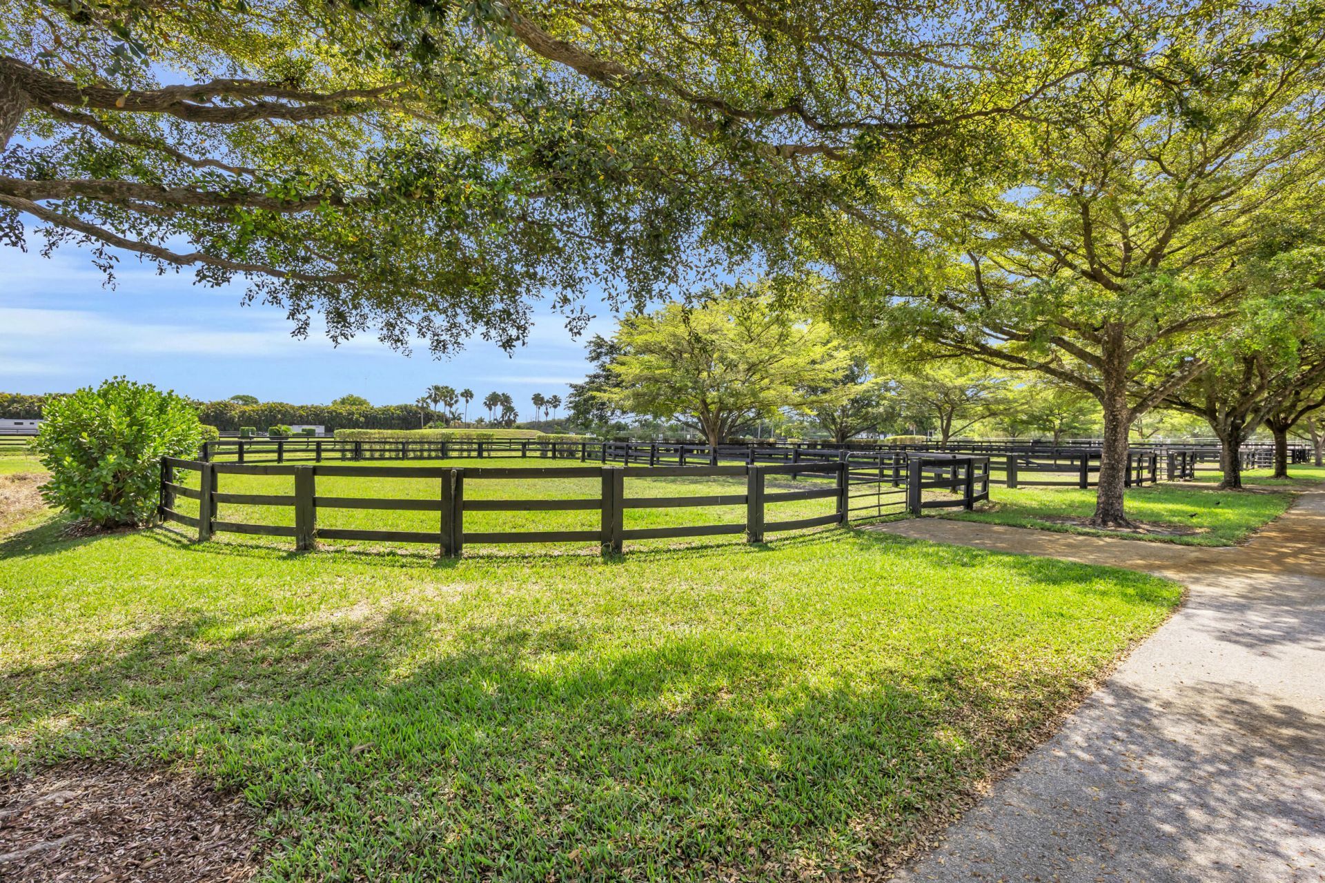 13220 55th Street S, Wellington, FL 33449 Photo