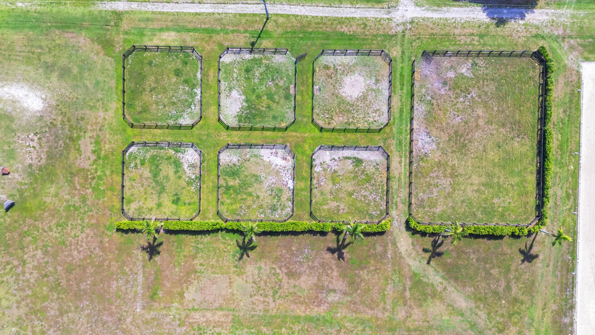 13220 55th Street S, Wellington, FL 33449 Photo