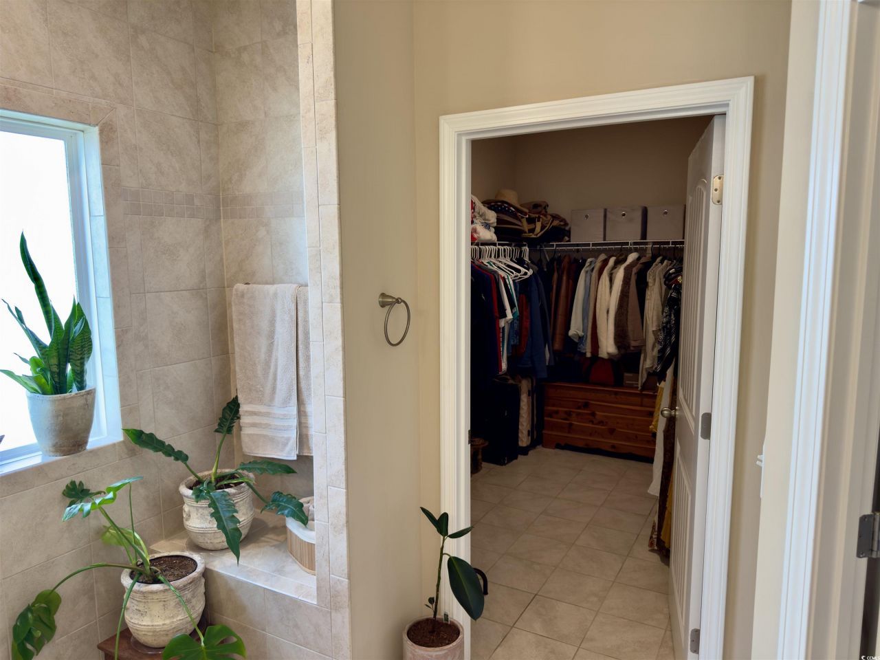 591 Hickman St. Photo 24