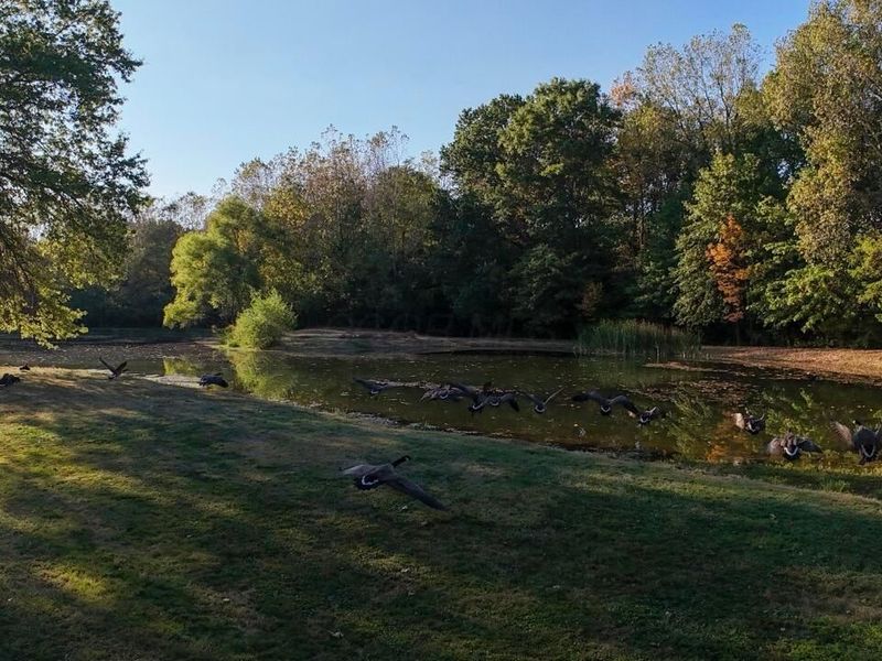 3310 State Route 61, Cardington, OH 43315 Photo 21