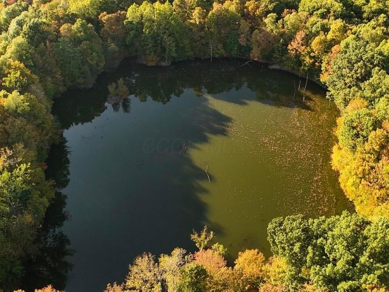 3310 State Route 61, Cardington, OH 43315 Photo 23