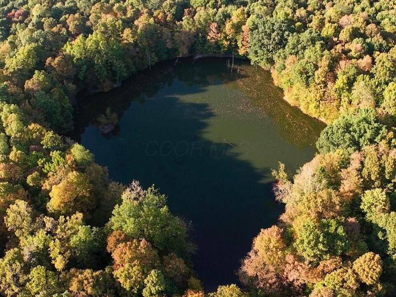 3310 State Route 61, Cardington, OH 43315 Photo 24