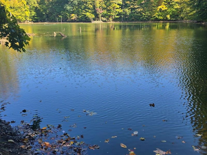 3310 State Route 61, Cardington, OH 43315 Photo 31