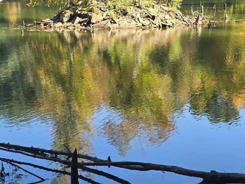 3310 State Route 61, Cardington, OH 43315 Photo 32