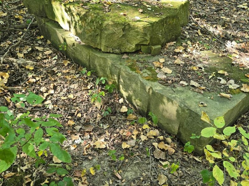 3310 State Route 61, Cardington, OH 43315 Photo 33