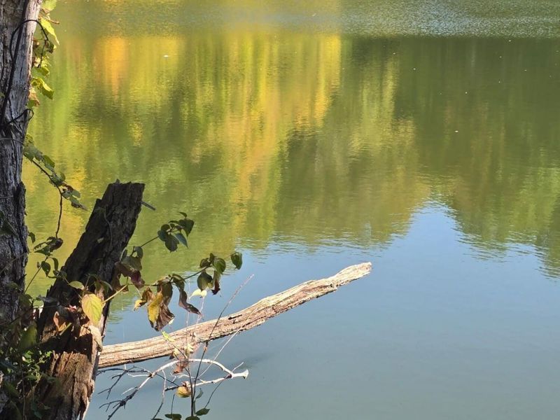 3310 State Route 61, Cardington, OH 43315 Photo 34