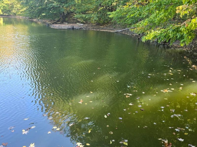 3310 State Route 61, Cardington, OH 43315 Photo 36