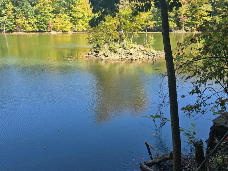 3310 State Route 61, Cardington, OH 43315 Photo 37