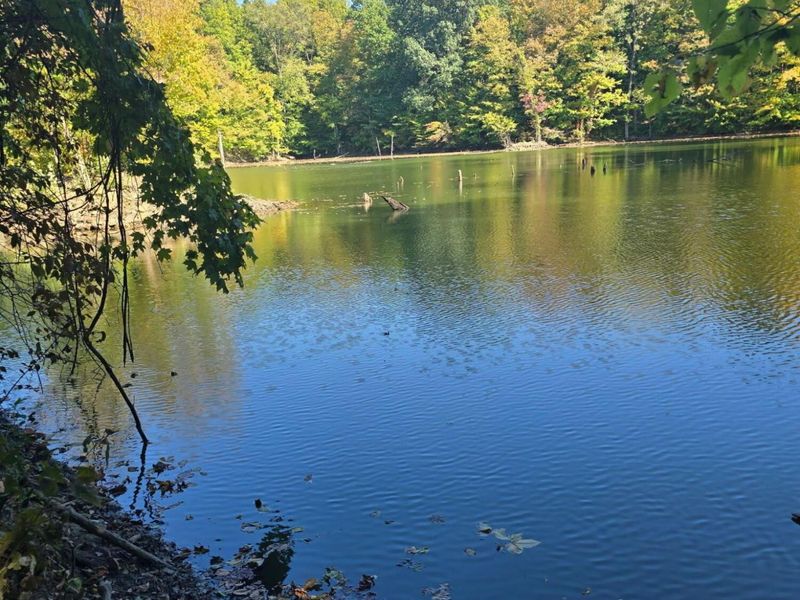 3310 State Route 61, Cardington, OH 43315 Photo 38