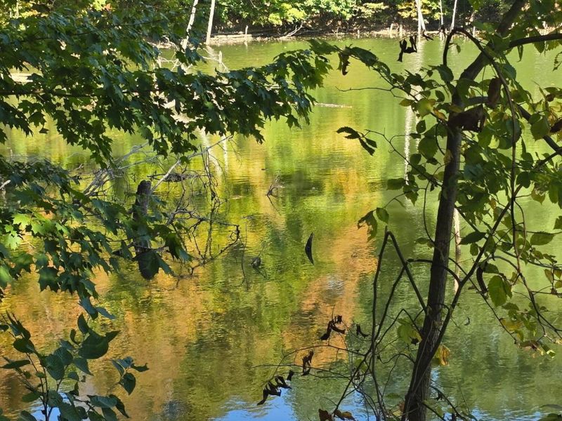 3310 State Route 61, Cardington, OH 43315 Photo 39