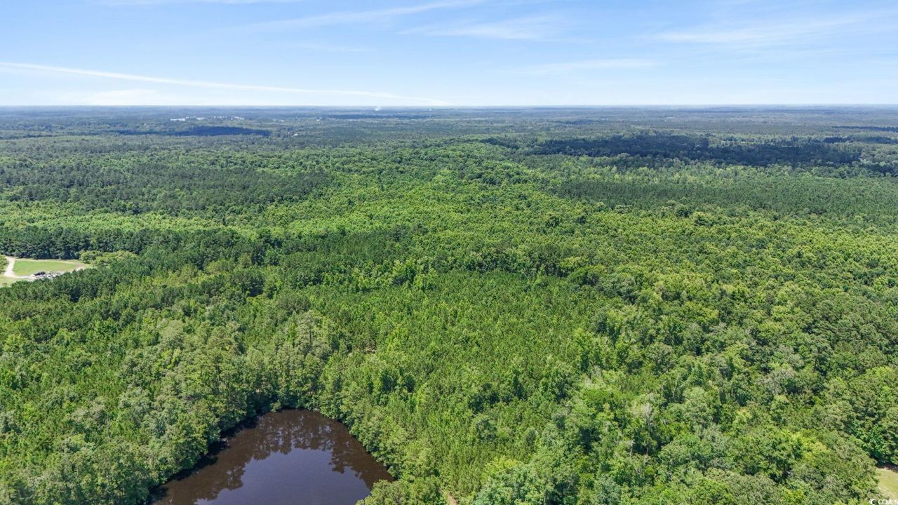 1351 Highway 90 Photo 10