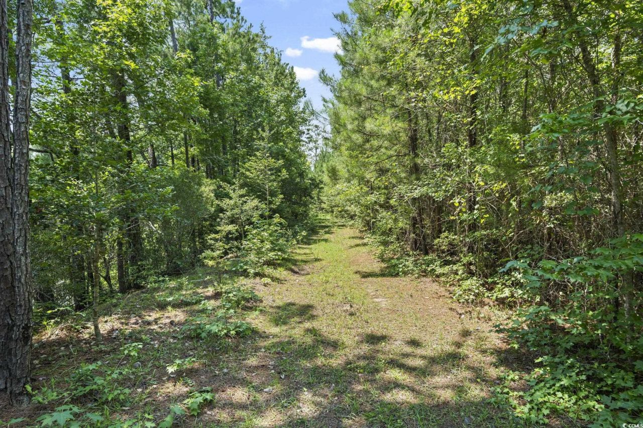 1351 Highway 90 Photo 13