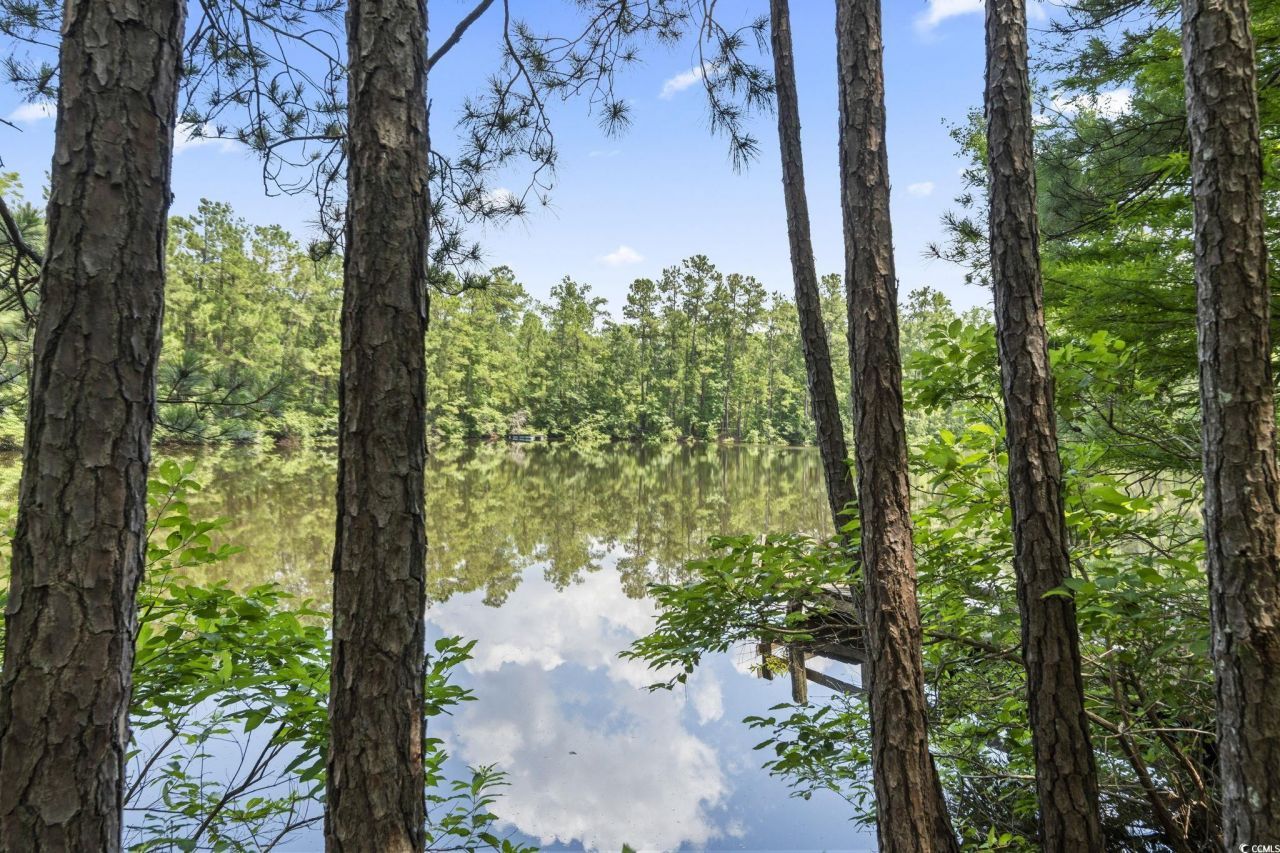 1351 Highway 90 Photo 16