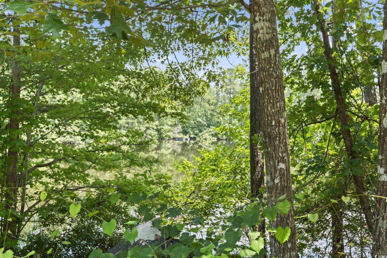 1351 Highway 90 Photo 17