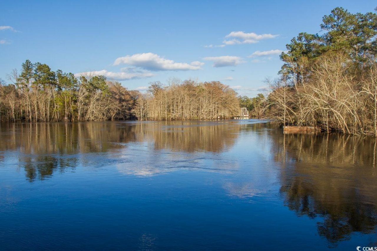 1351 Highway 90 Photo 28