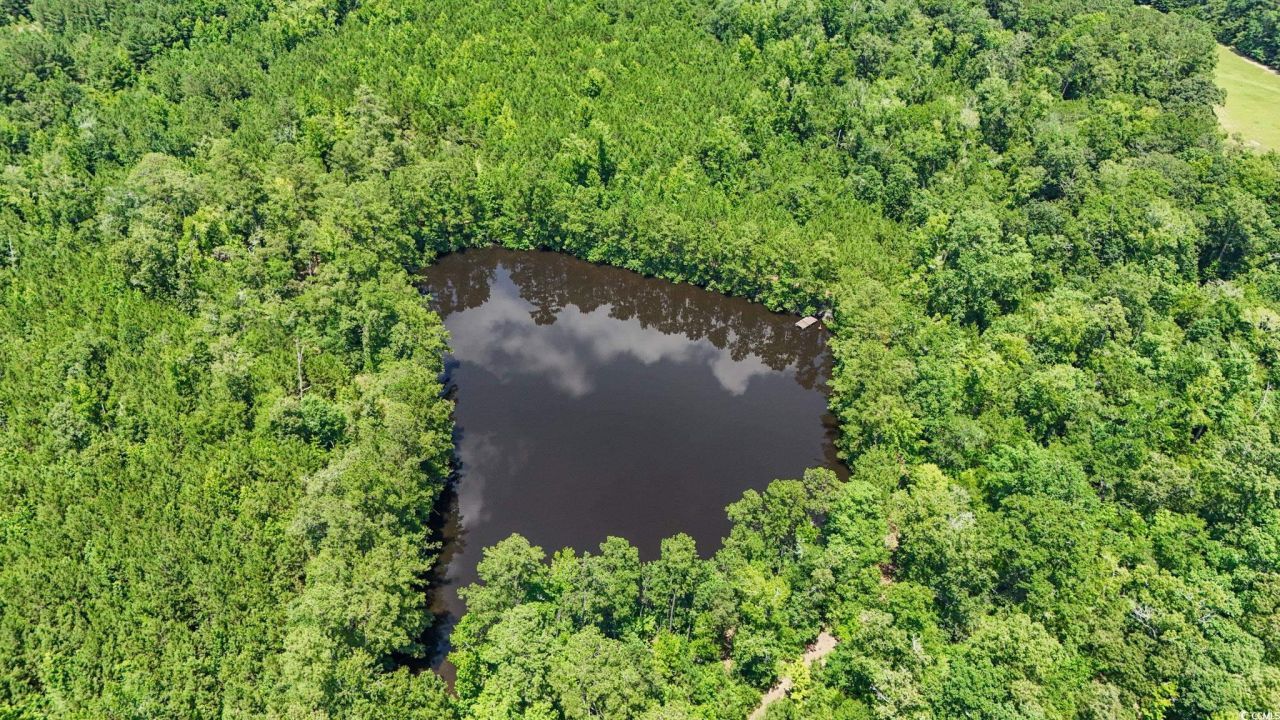 1351 Highway 90 Photo 4