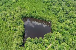 1351 Highway 90 photo 4