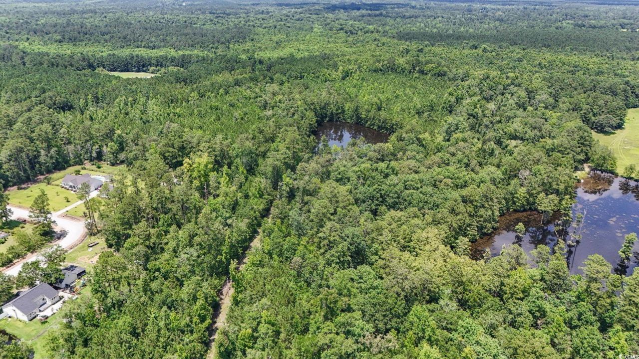 1351 Highway 90 Photo 5