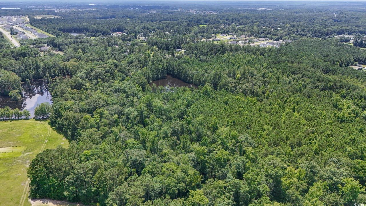 1351 Highway 90 Photo 8