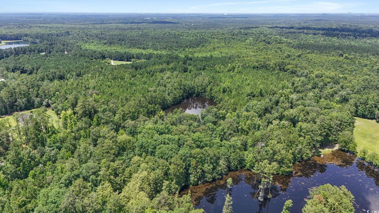 1351 Highway 90 Photo 9