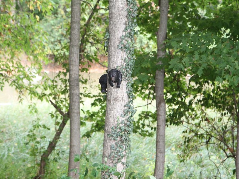 2000 U.S,. Hwy 23 N, Unit 59, Delaware, OH 43015 Photo 8