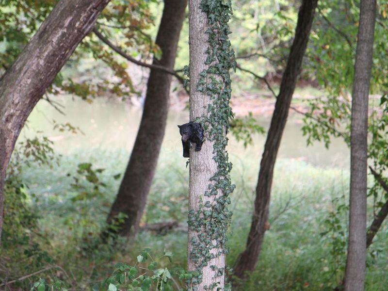 2000 U.S,. Hwy 23 N, Unit 59, Delaware, OH 43015 Photo 9