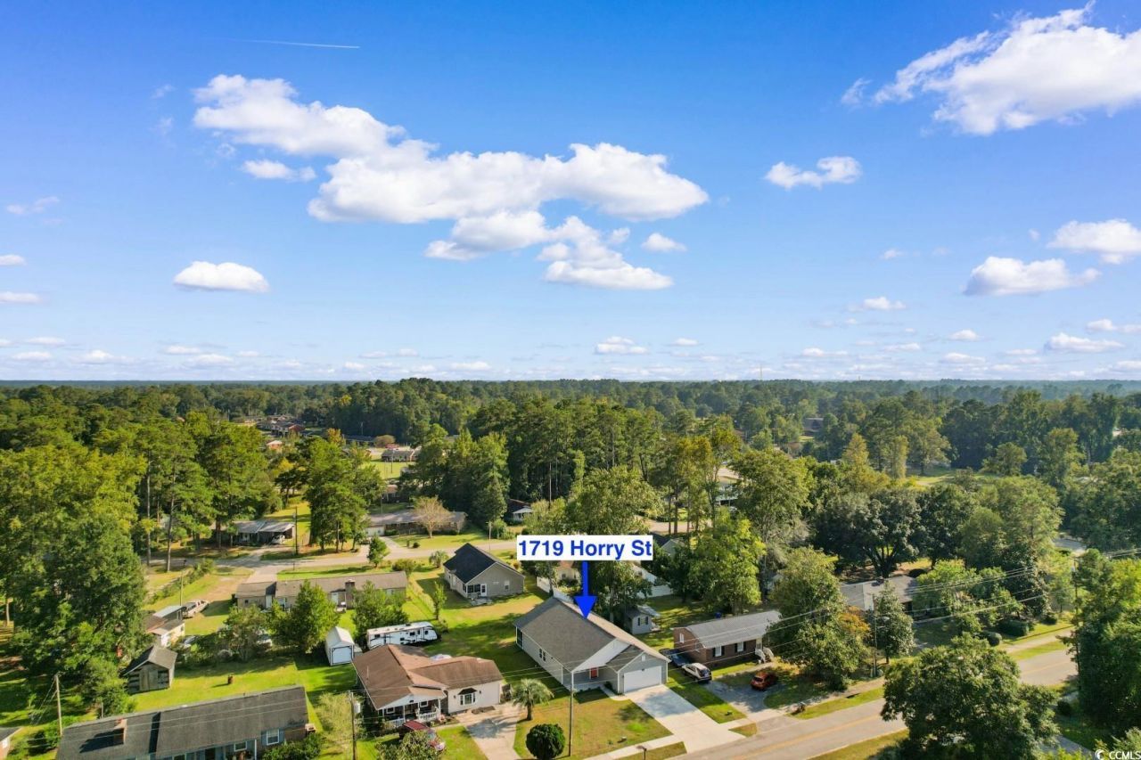 1719 Horry St. Photo 37