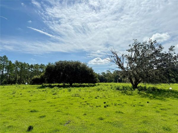 10460 EHREN CUTOFF, LAND O LAKES, FL 34639