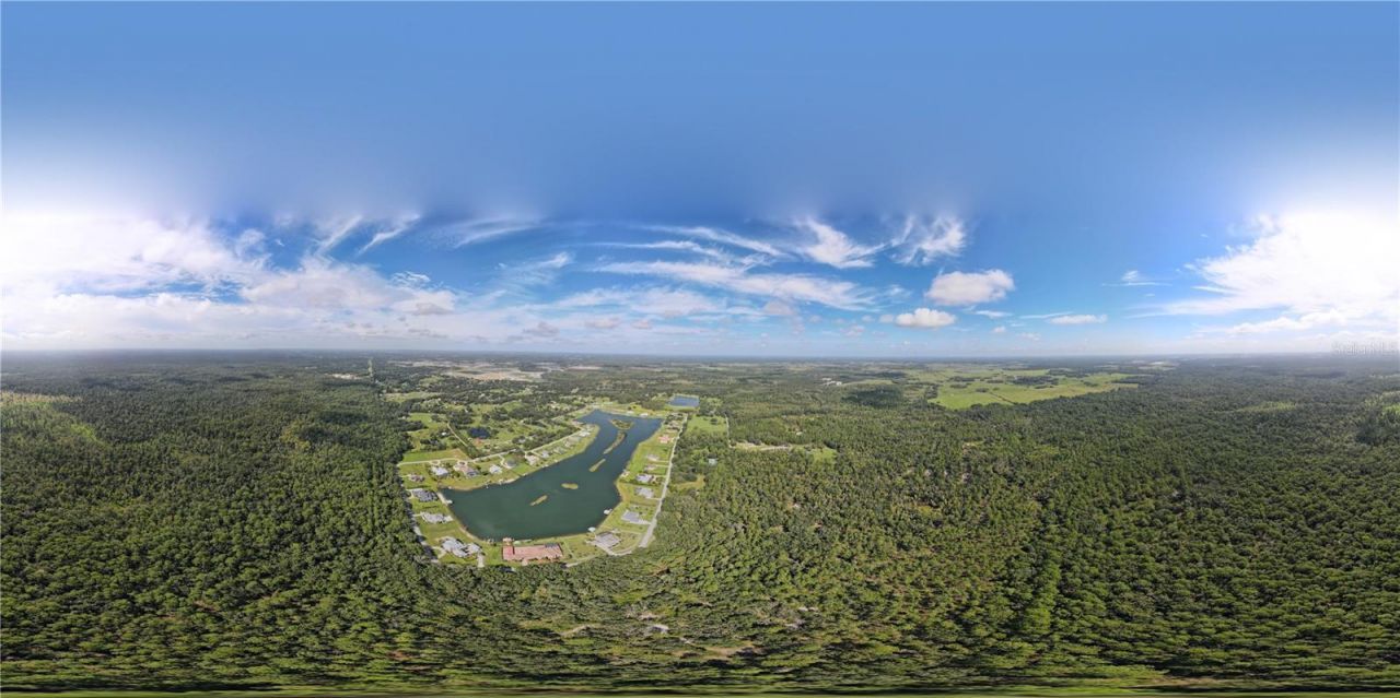 10460 Ehren Cutoff, Land O Lakes, FL 34639 Photo