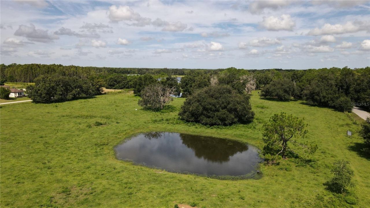 10460 Ehren Cutoff, Land O Lakes, FL 34639 Photo