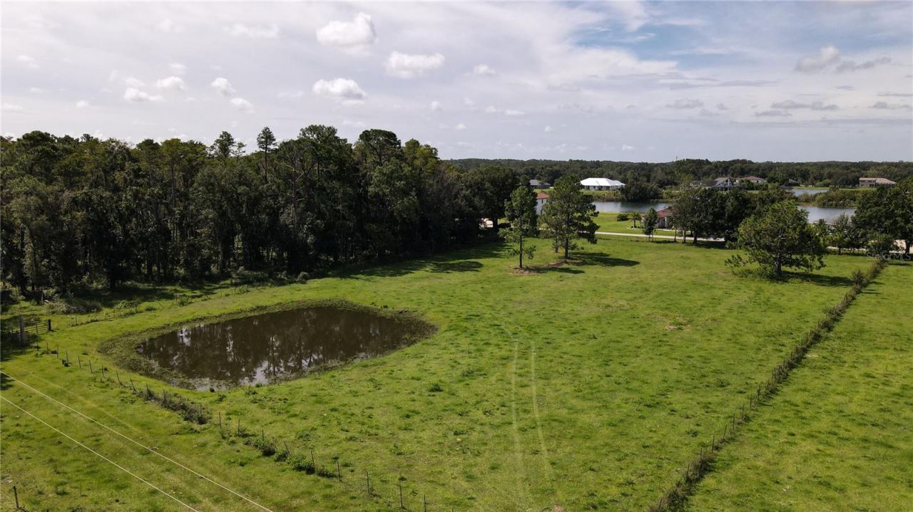 10460 Ehren Cutoff, Land O Lakes, FL 34639 Photo
