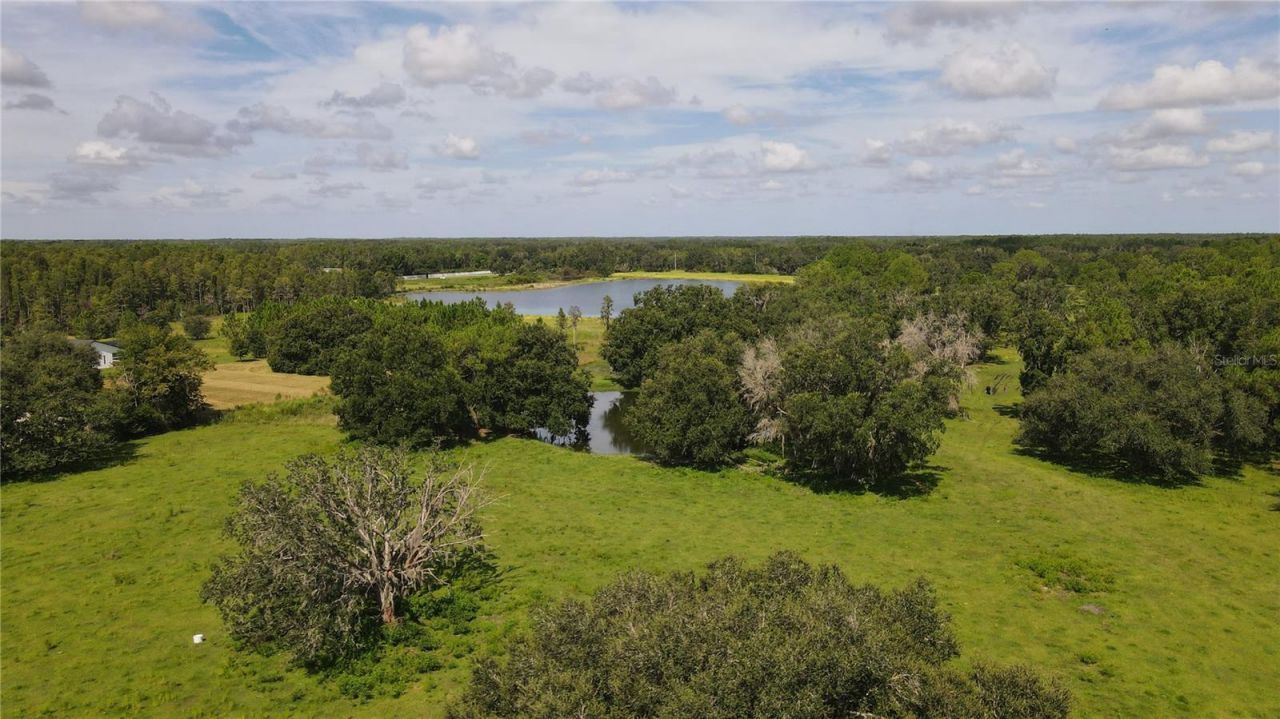 10460 Ehren Cutoff, Land O Lakes, FL 34639 Photo