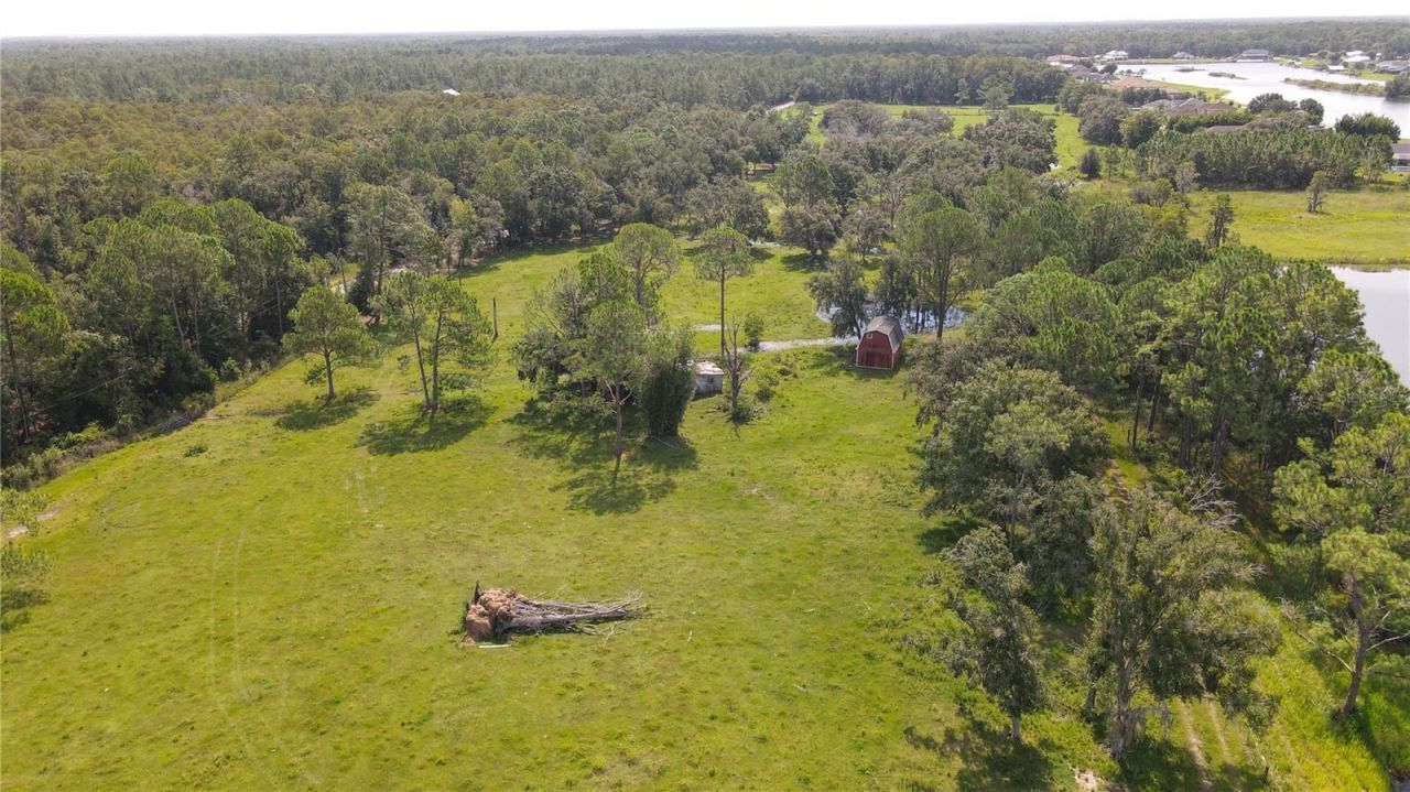 10460 Ehren Cutoff, Land O Lakes, FL 34639 Photo