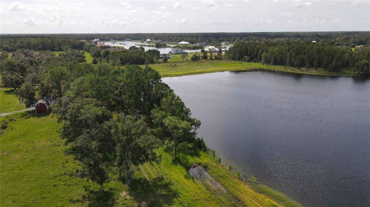 10460 Ehren Cutoff, Land O Lakes, FL 34639 Photo