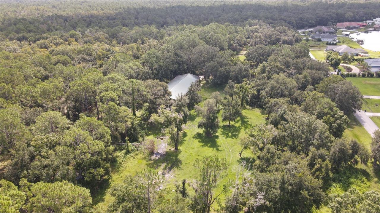 10460 Ehren Cutoff, Land O Lakes, FL 34639 Photo