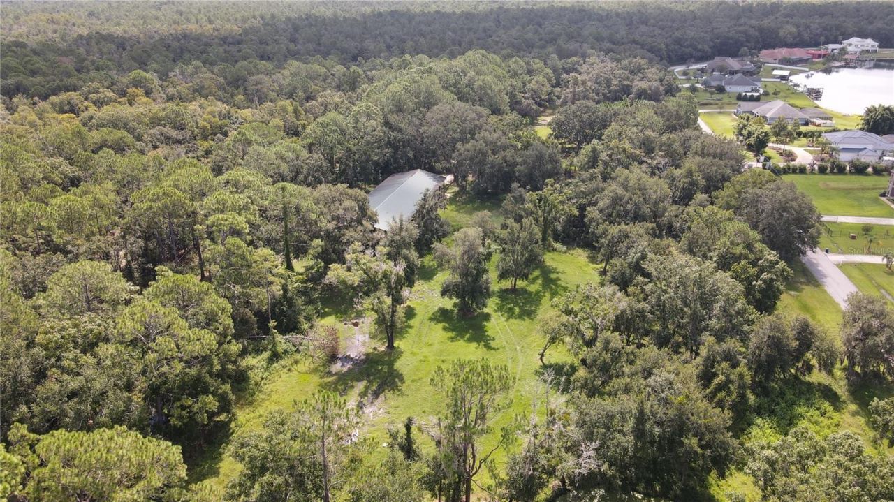 10460 Ehren Cutoff, Land O Lakes, FL 34639 Photo