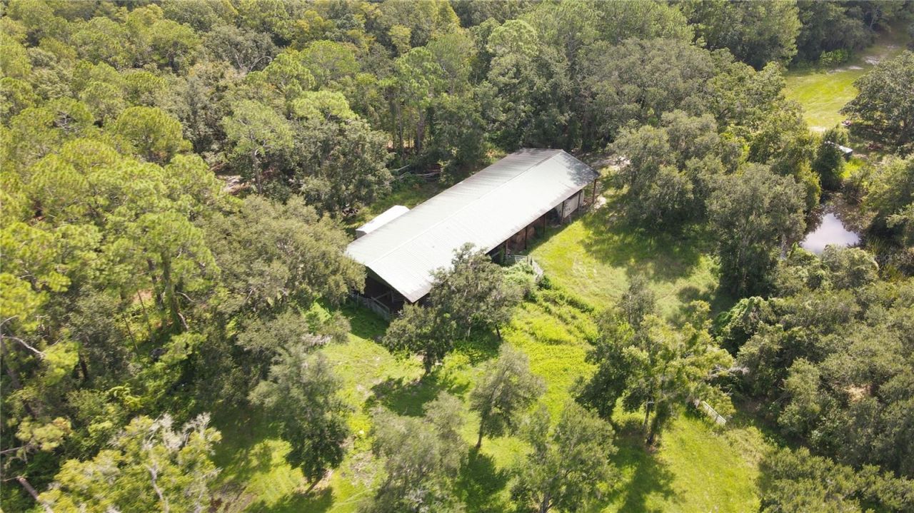 10460 Ehren Cutoff, Land O Lakes, FL 34639 Photo