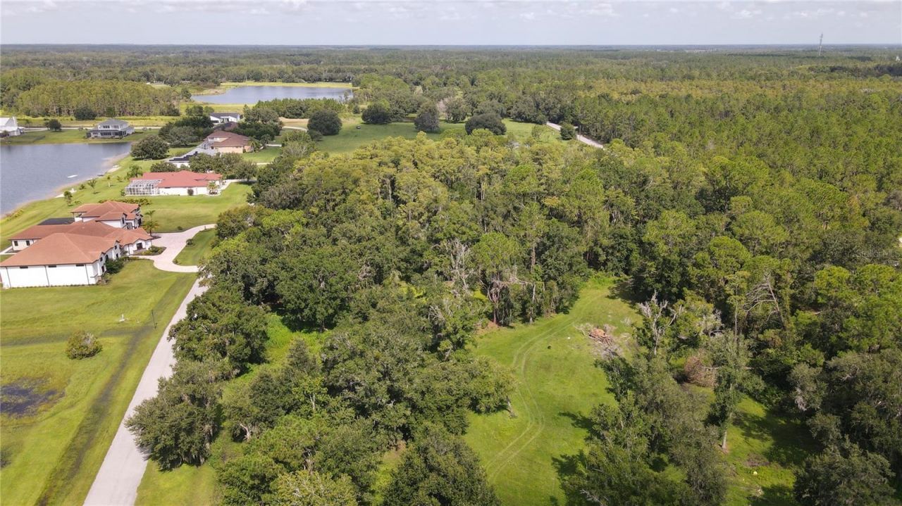 10460 Ehren Cutoff, Land O Lakes, FL 34639 Photo