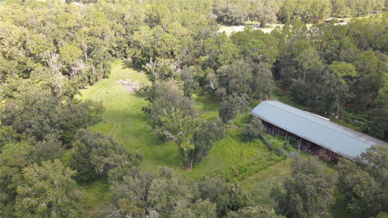 10460 Ehren Cutoff, Land O Lakes, FL 34639 Photo