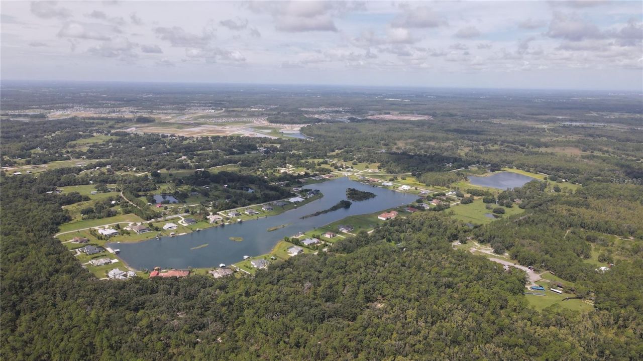 10460 Ehren Cutoff, Land O Lakes, FL 34639 Photo