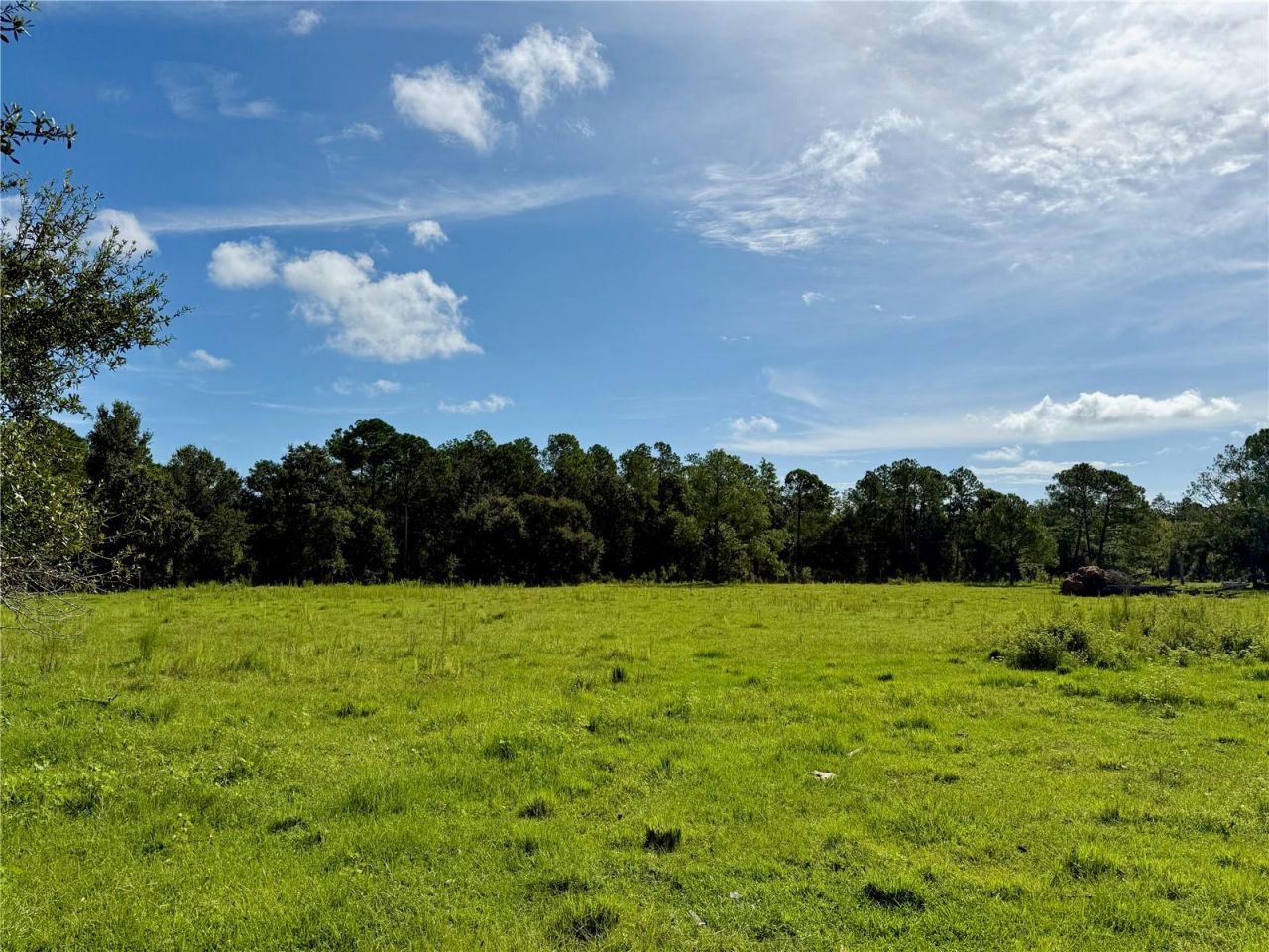 10460 Ehren Cutoff, Land O Lakes, FL 34639 Photo