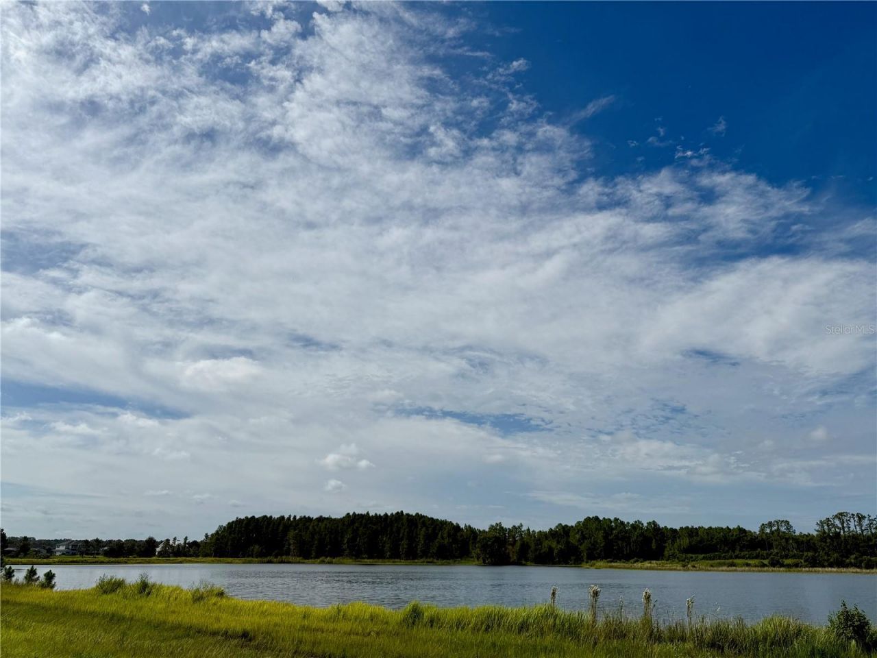 10460 Ehren Cutoff, Land O Lakes, FL 34639 Photo