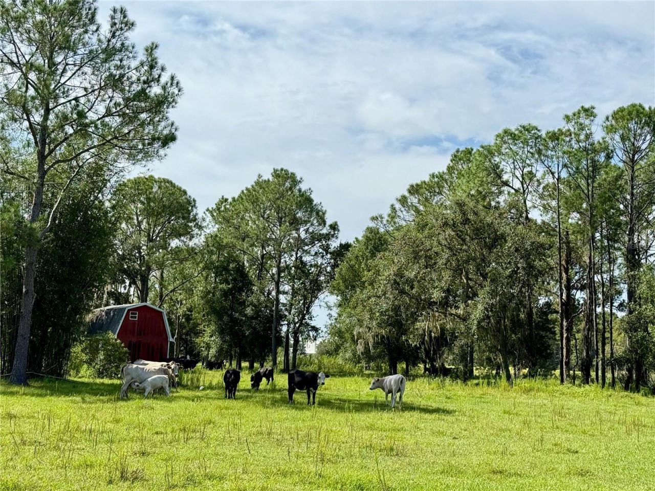 10460 Ehren Cutoff, Land O Lakes, FL 34639 Photo