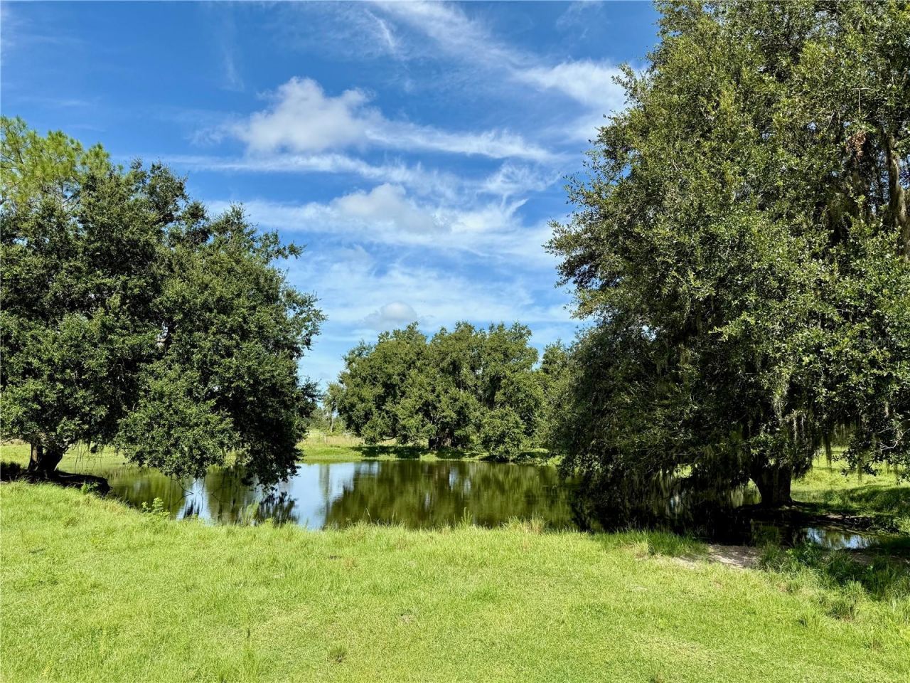 10460 Ehren Cutoff, Land O Lakes, FL 34639 Photo