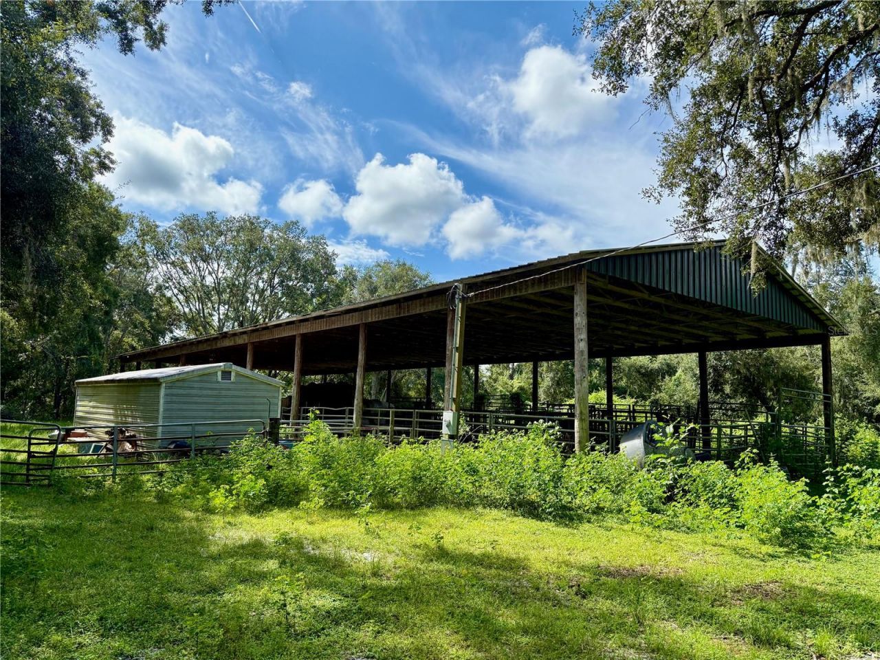 10460 Ehren Cutoff, Land O Lakes, FL 34639 Photo