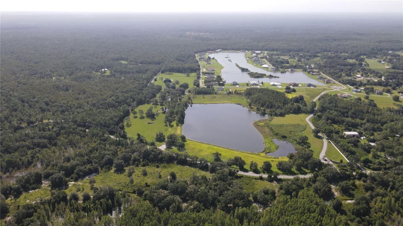 10460 Ehren Cutoff, Land O Lakes, FL 34639 Photo