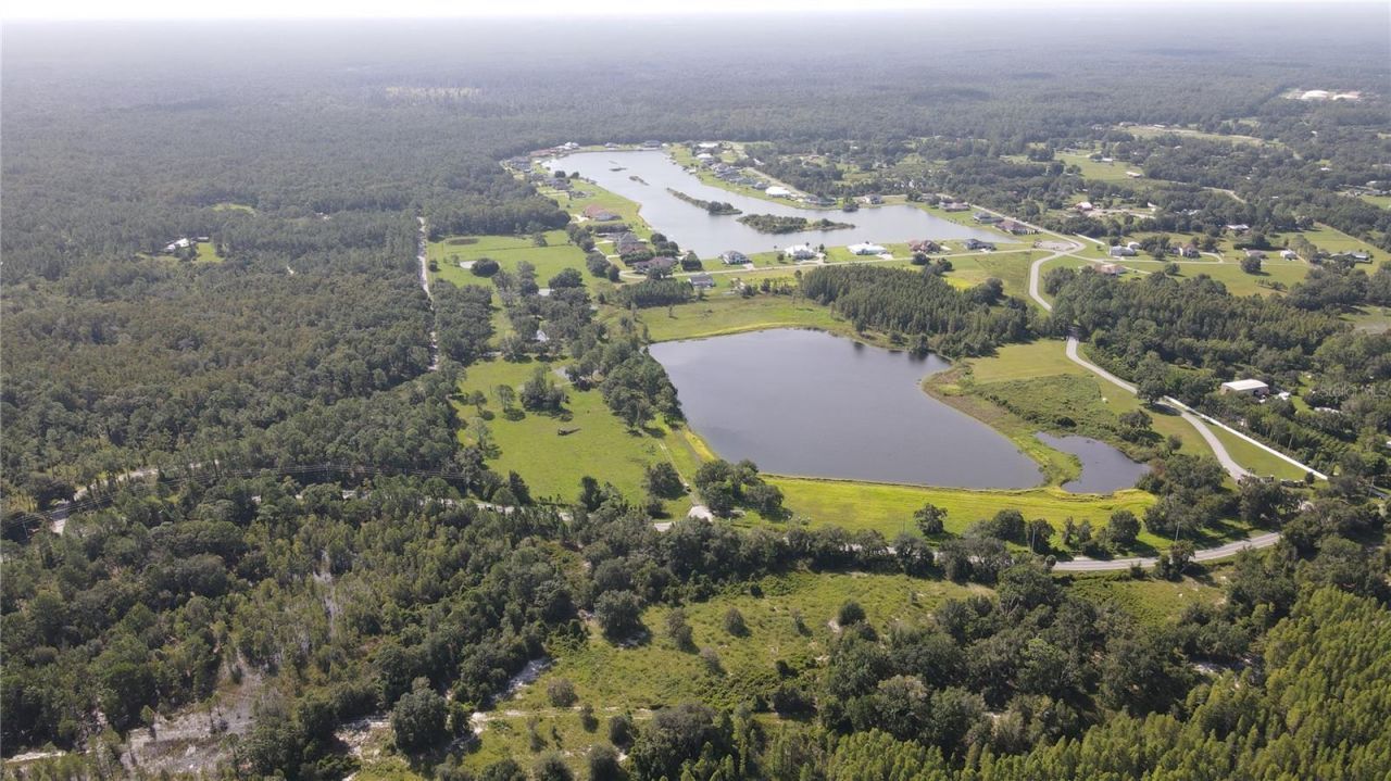 10460 Ehren Cutoff, Land O Lakes, FL 34639 Photo