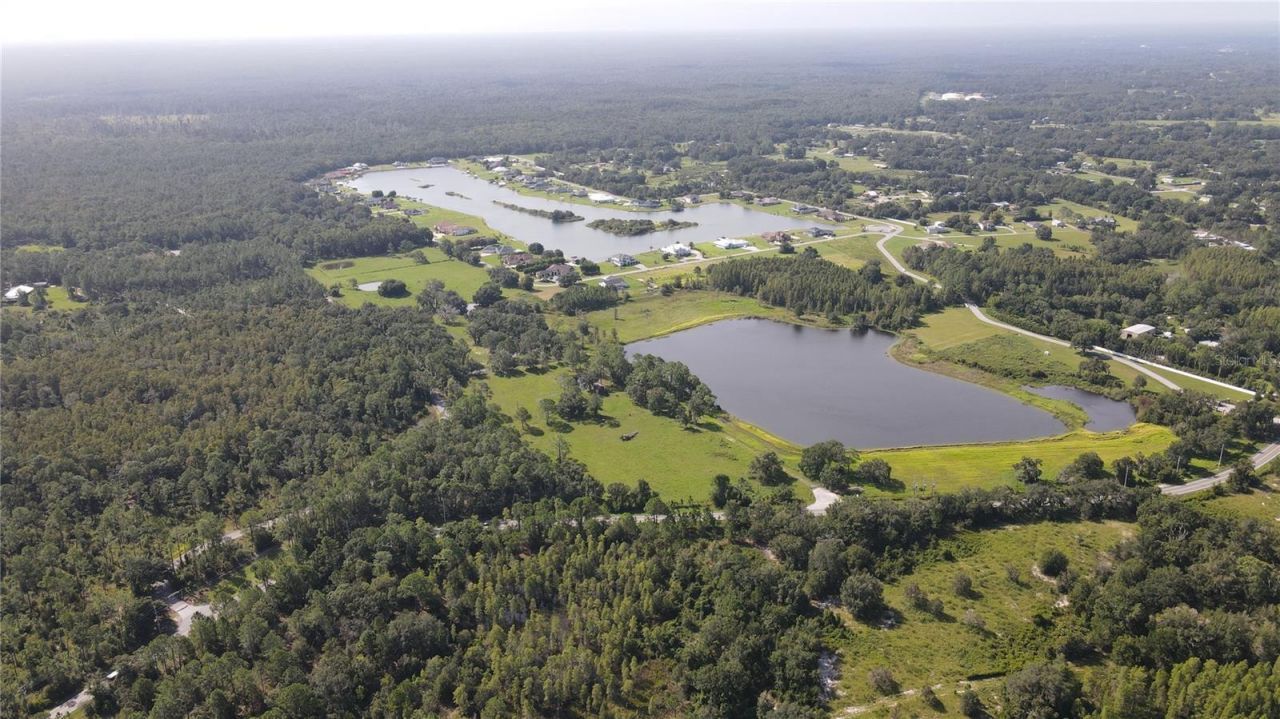 10460 Ehren Cutoff, Land O Lakes, FL 34639 Photo