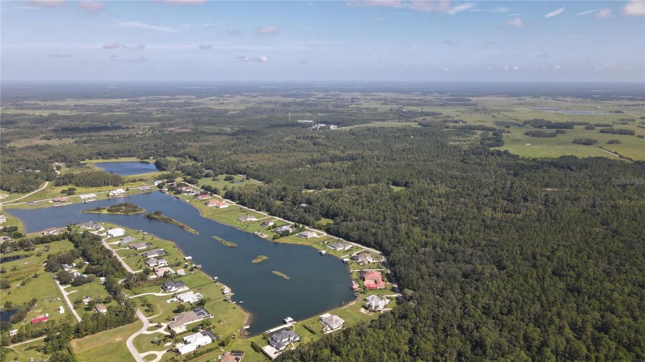 10460 Ehren Cutoff, Land O Lakes, FL 34639 Photo